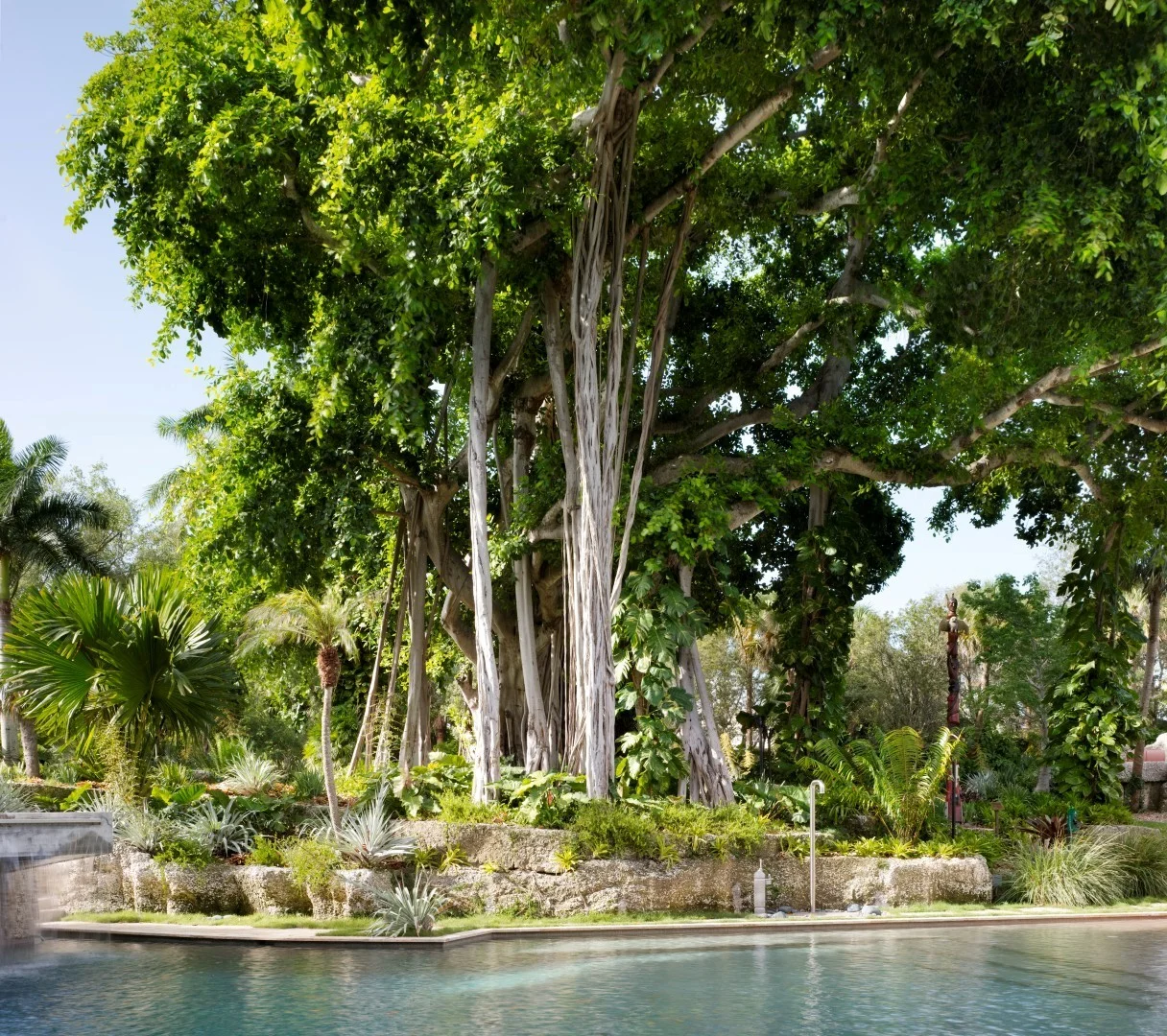 Coconut Grove Garden — Plant Creations